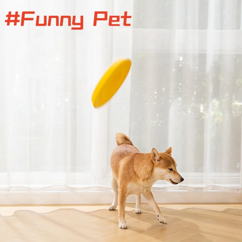 Glide Dog Toy - Image 5