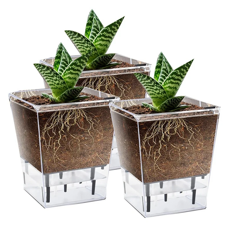 Spider Plant Planter