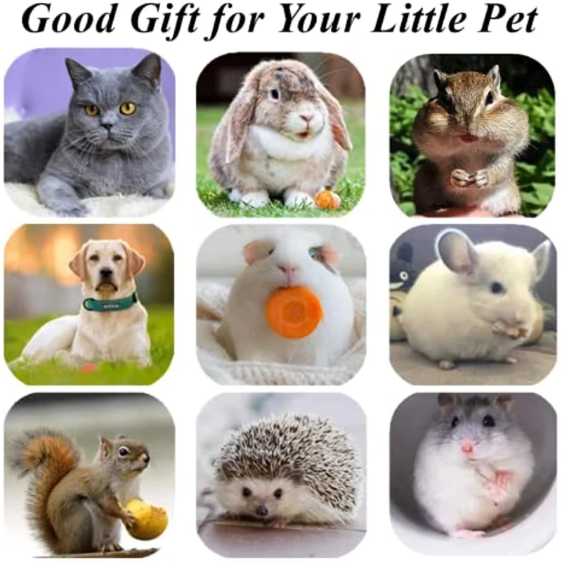 Cat Chewing Stick - Image 7