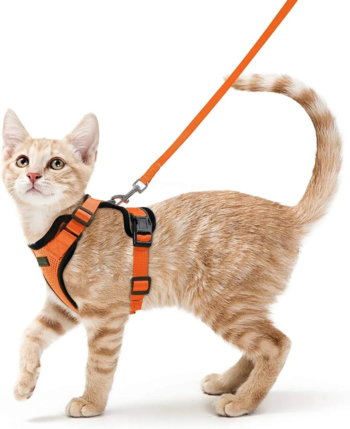 Non Slip Cat Harness