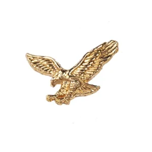 Eagle Hat Pin