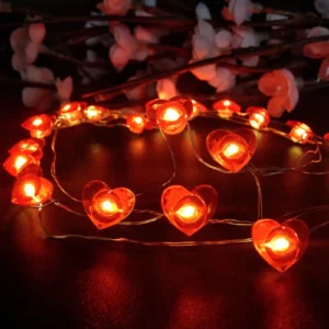 Valentine’s Day Lights