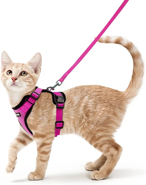 Non Slip Cat Harness - Image 10
