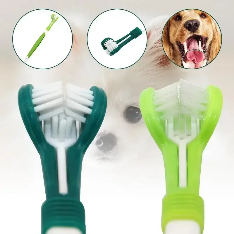 Dog Toothbrush - Image 7