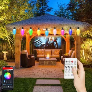 Holiday Bright Lights C9 LED APP Controlled 7.5/10m