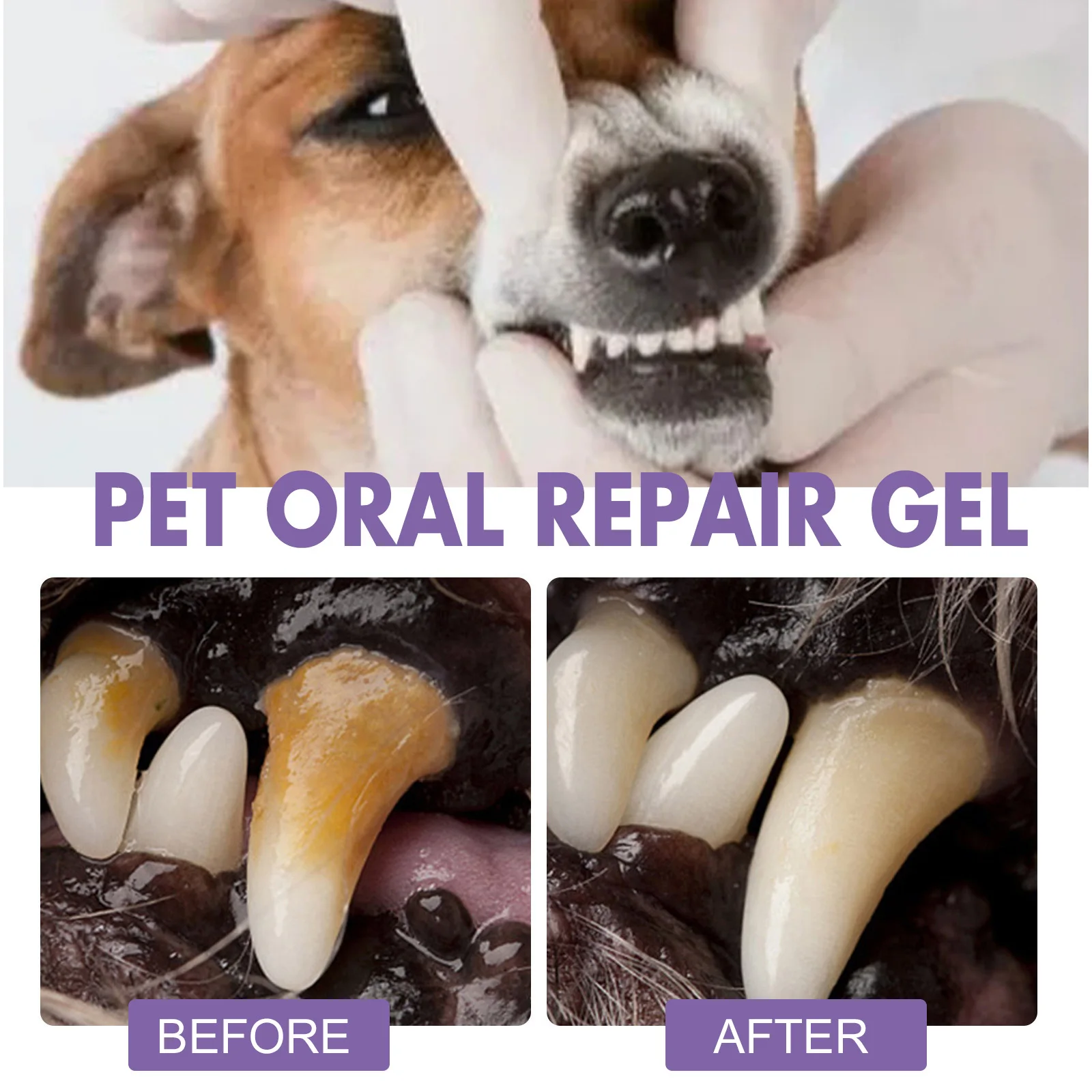 Cvreoz Pet Oral Repair Gel - Image 5