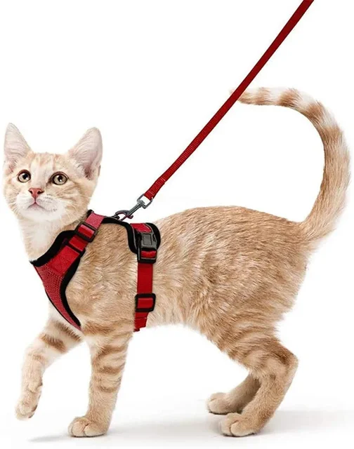 Non Slip Cat Harness - Image 5