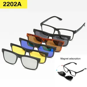 Sunglasses with Replaceable Lenses