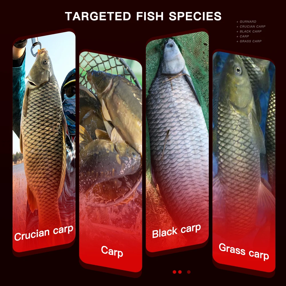 Fish Attraction - Image 16