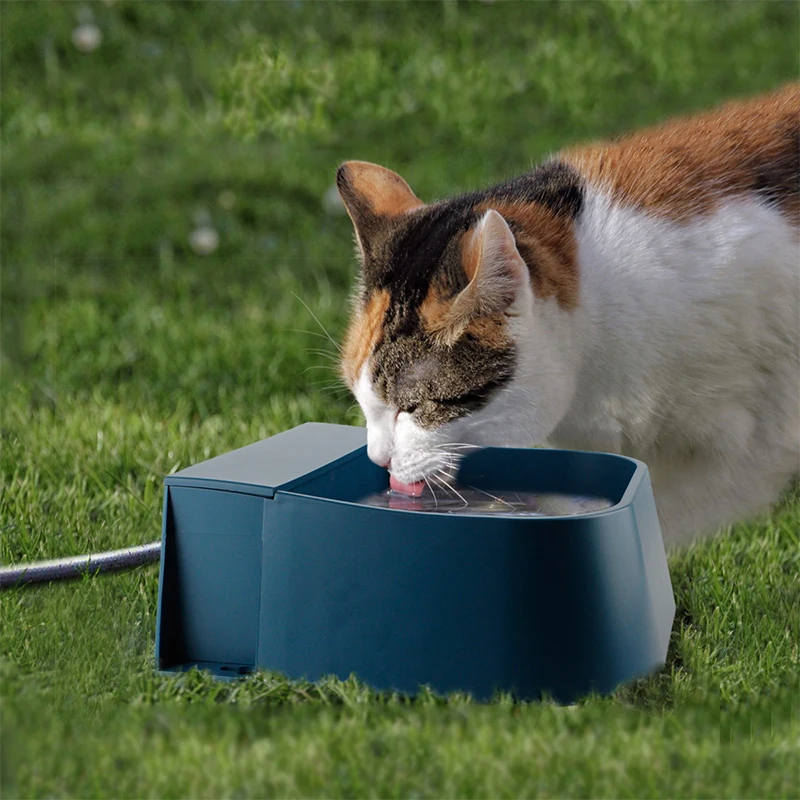 Auto-Fill Outdoor Dog Water Station - Image 6