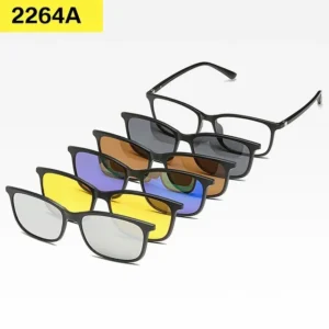 Sunglasses with Replaceable Lenses