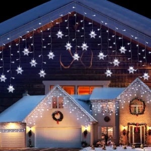 Snowflake Mini Christmas Lights on House LED